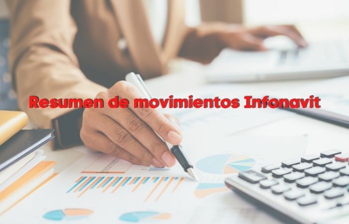 Resumen de movimientos infonavit